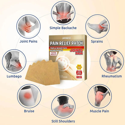 Japanese Pain Relief Patch Buy 1 Get 1 Free Free